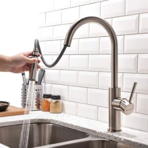  FORIOUS Kitchen Sink Faucet